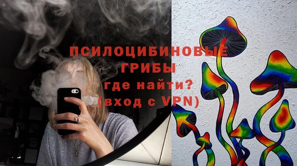 СК Михайлов