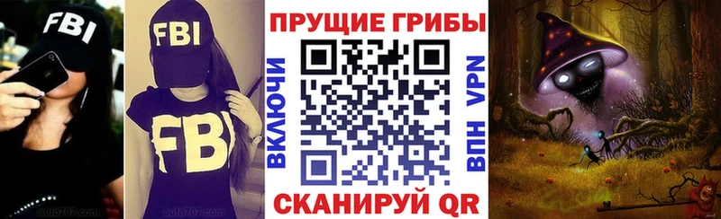 Псилоцибиновые грибы ЛСД  Архангельск 